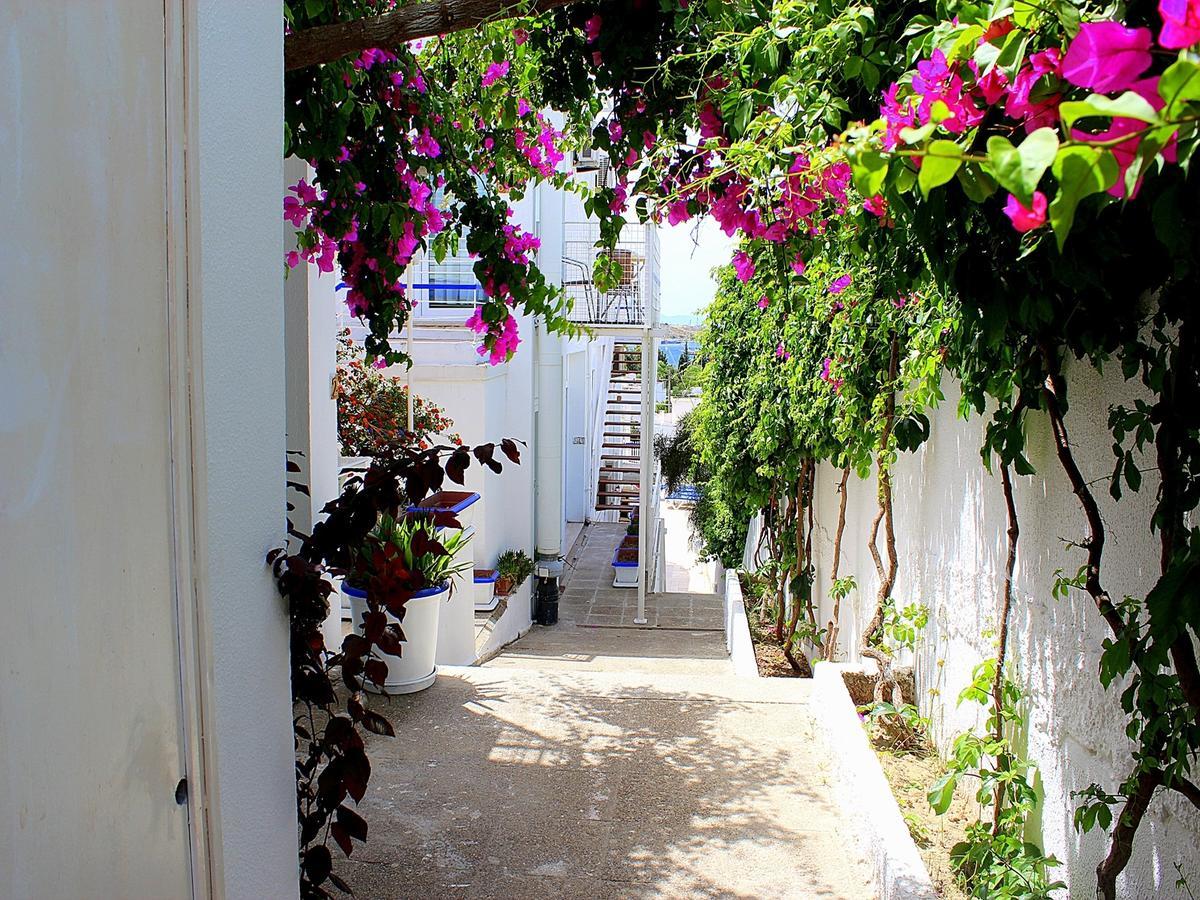 Sky Nova Hotel & Suites Bodrum ภายนอก รูปภาพ